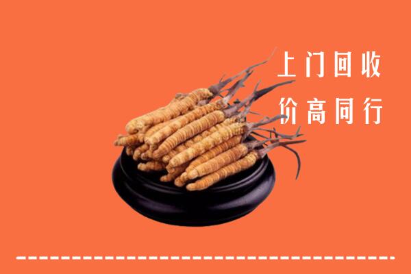 高价求购：西塞山区回收散虫草