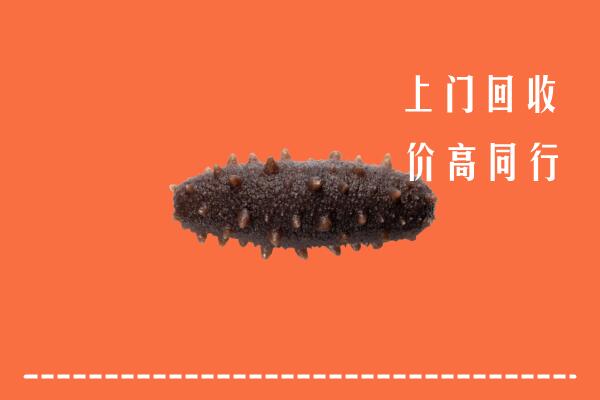 高价求购：西塞山区回收海参